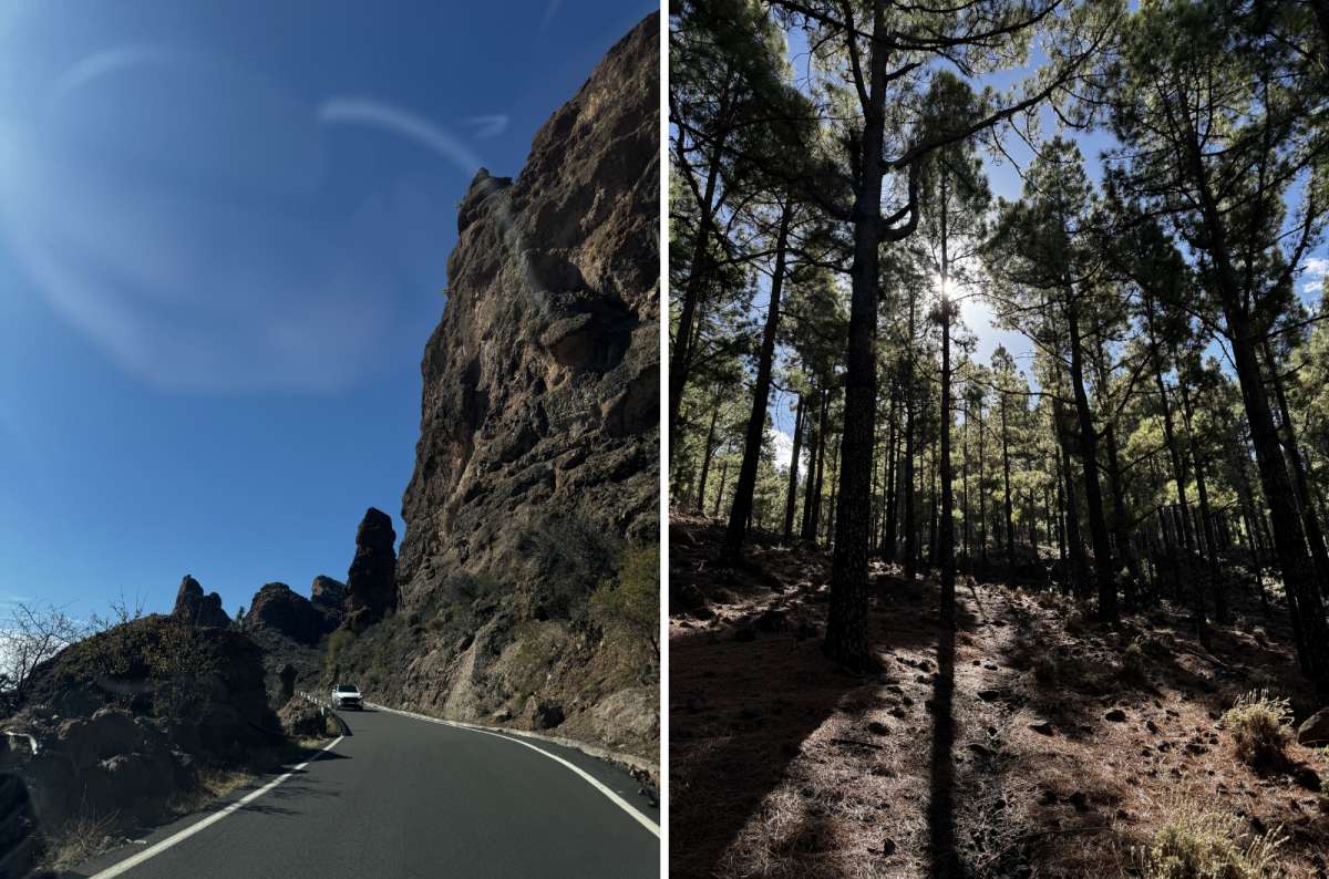 a collage of photos from Pico de Nieves and Roque Bentayga, showing the beautiful and diverse scenery, Canary Islands, photo by Next Level of Travel