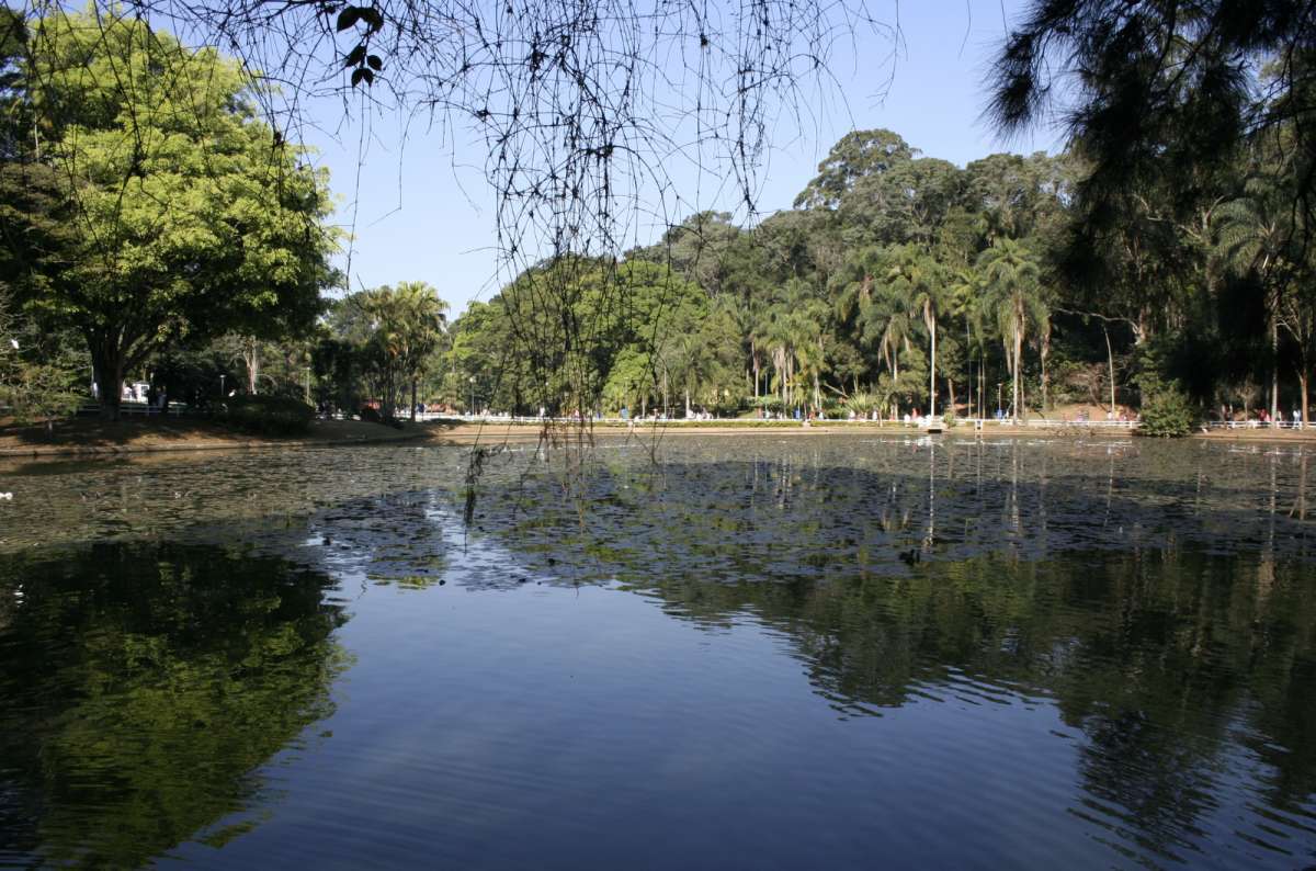 a photo from Tamadaba Natural Park showing a beautiful lake surrounded by trees