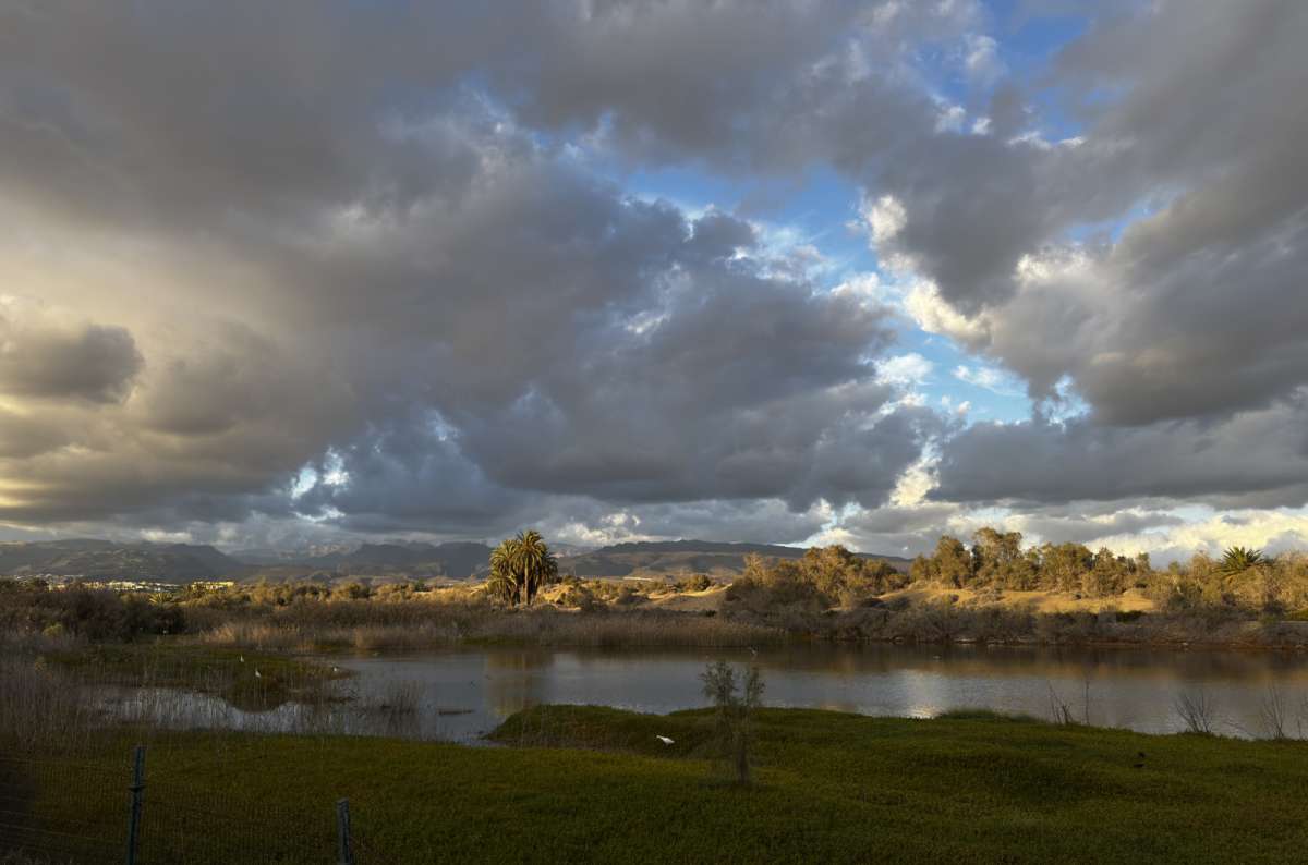 a photo of the nature around Maspalomas, showing a beautiful lake and a trees in the background, Gran Canaria, Canary Islands, photo by Next Level of Travel