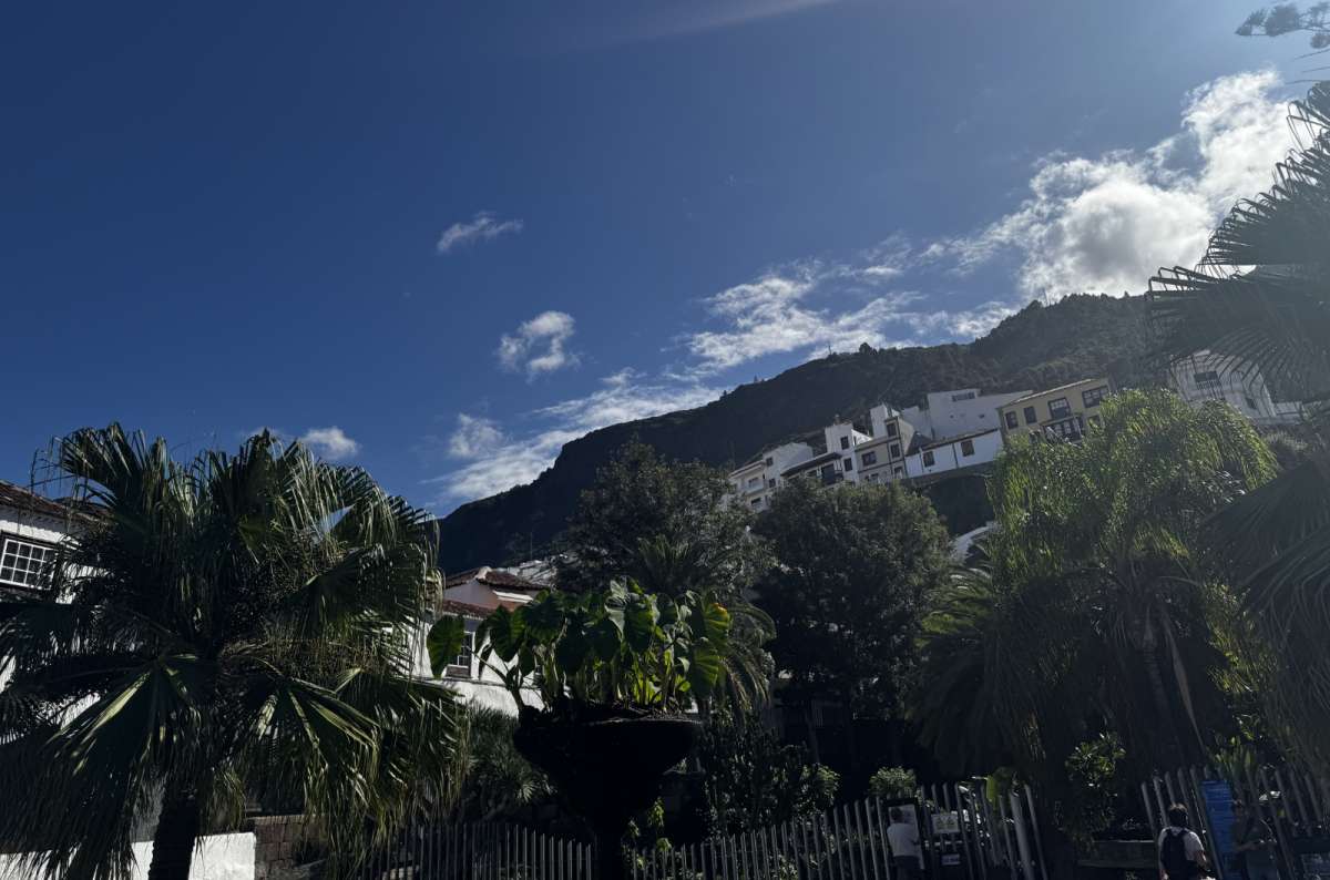 a photo from the town of Garachico showing the houses and streets built along the cliffs, surrounded by palm trees, Canary Islands, photo by Next Level of Travel