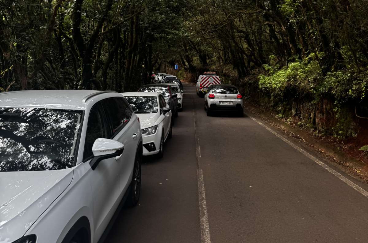 a photo of cars driving in both directions on a narrow road in Anaga National Park, Canary Islands, photo by Next Level of Travel