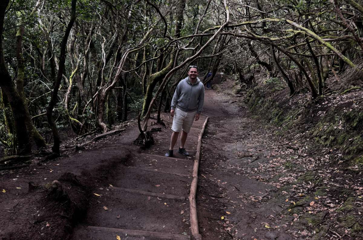 a photo of Sendero de los Sentidos in Anaga Rural Park, showing the vast forest, Canary Islands, photo by Next Level of Travel