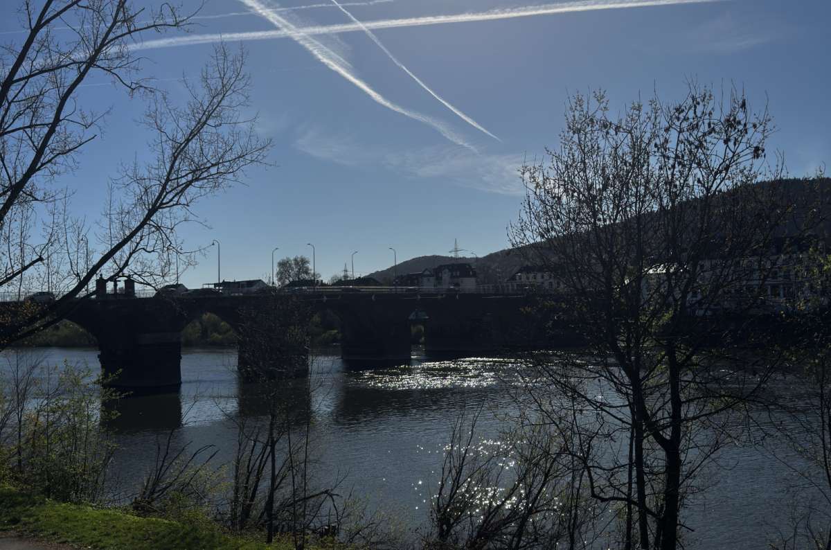 a photo of the Roman Bridge and the buildings in the background, Trier, Germany, photo by Next Level of Travel