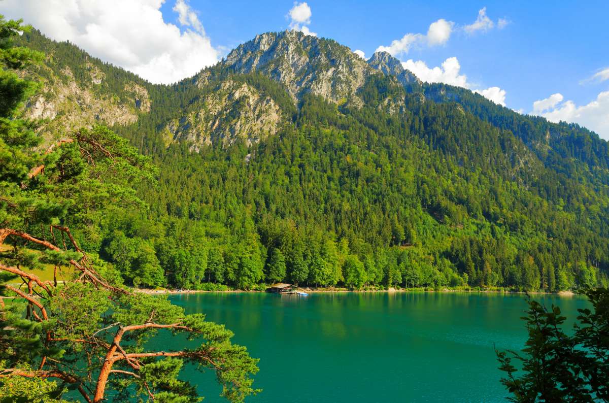 a photo of Alpsee lake near Neuschwanstein Castle in Bavaria, Germany, photo by Next Level of Travel