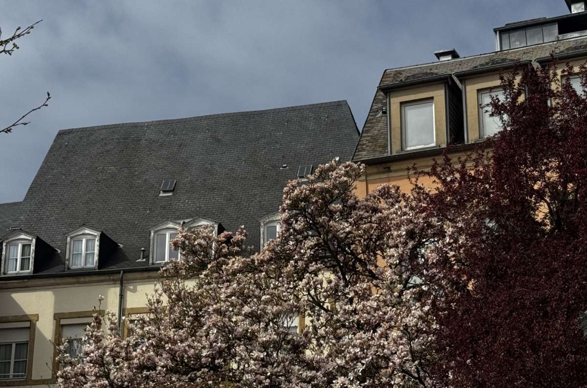 Buildings lining a central square in the upper town, Luxembourg City, Luxembourg, photo by Next Level of Travel