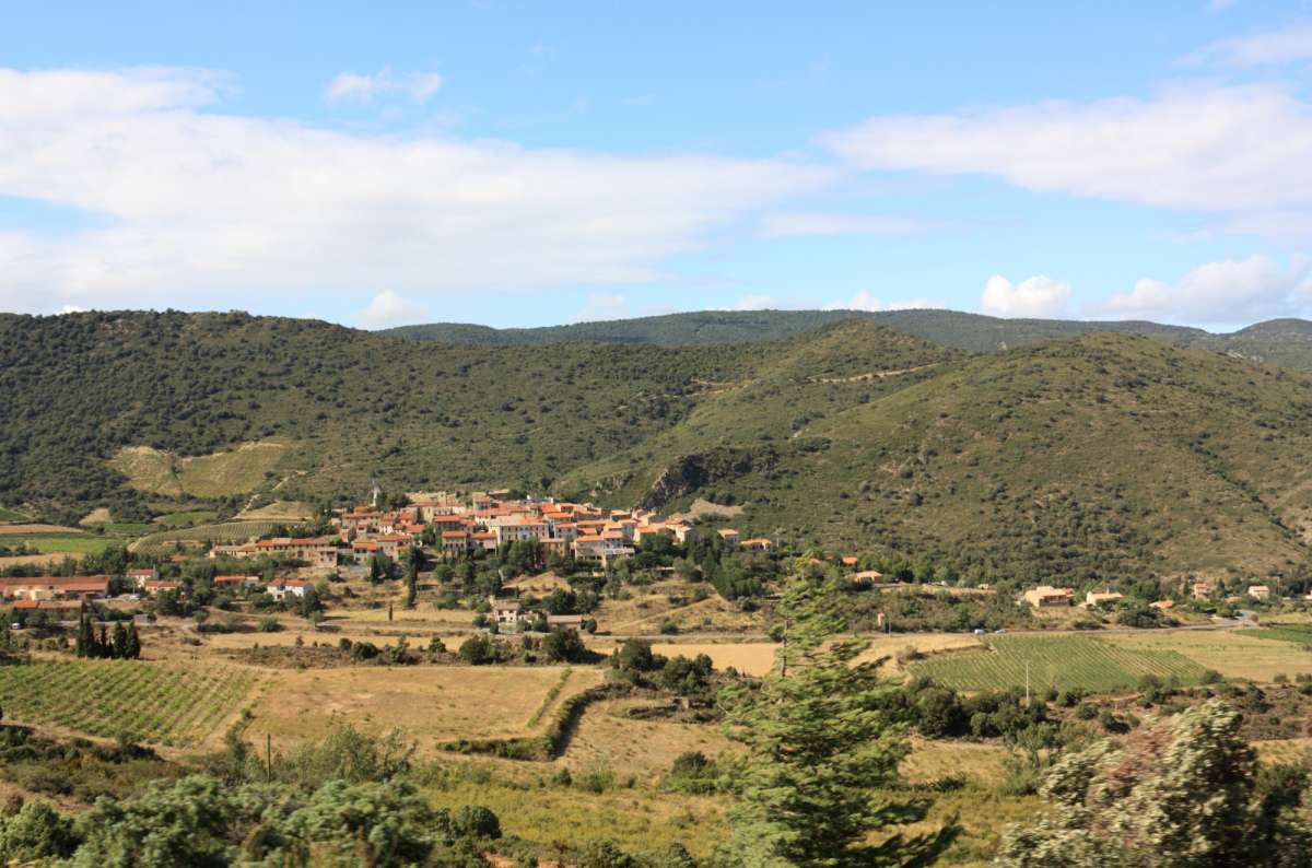 a photo of the Moselle Valley with a village, fields, and green trees surrounding it, Luxembourg