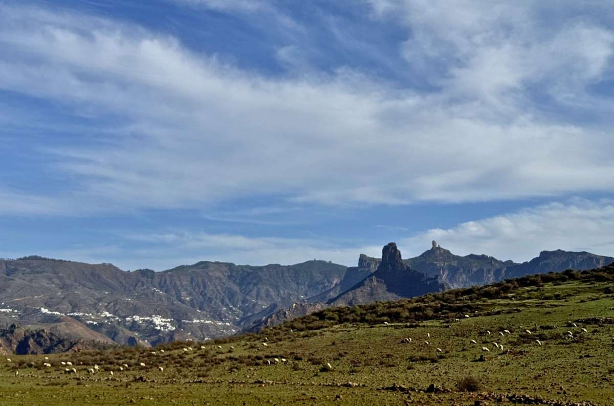 a panoramic view of a green valley with sheep grazing in the foreground and Roque Nublo rising above the mountains in the background, Gran Canaria, Canary Islands, photo by Next Level of Travel