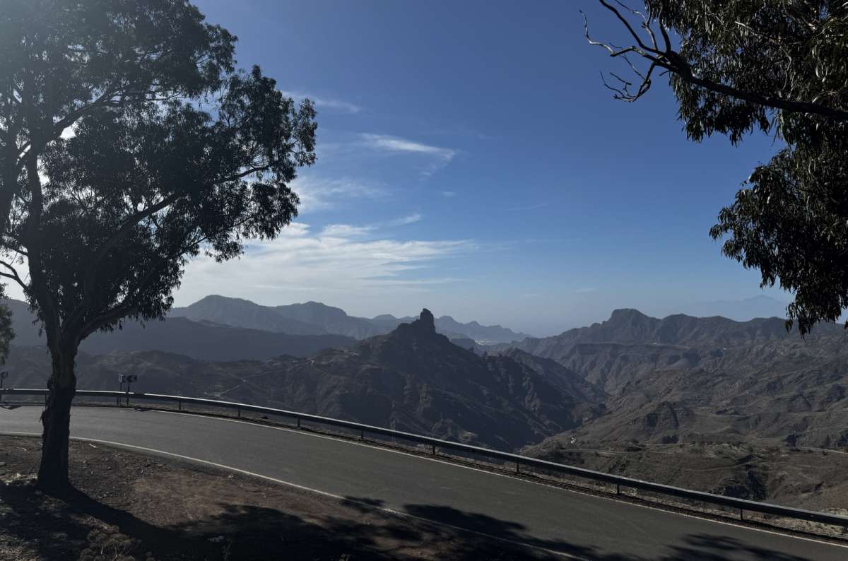 a winding mountain road framed by eucalyptus trees with Roque Nublo visible through the haze in the background, Gran Canaria, Canary Islands, photo by Next Level of Travel