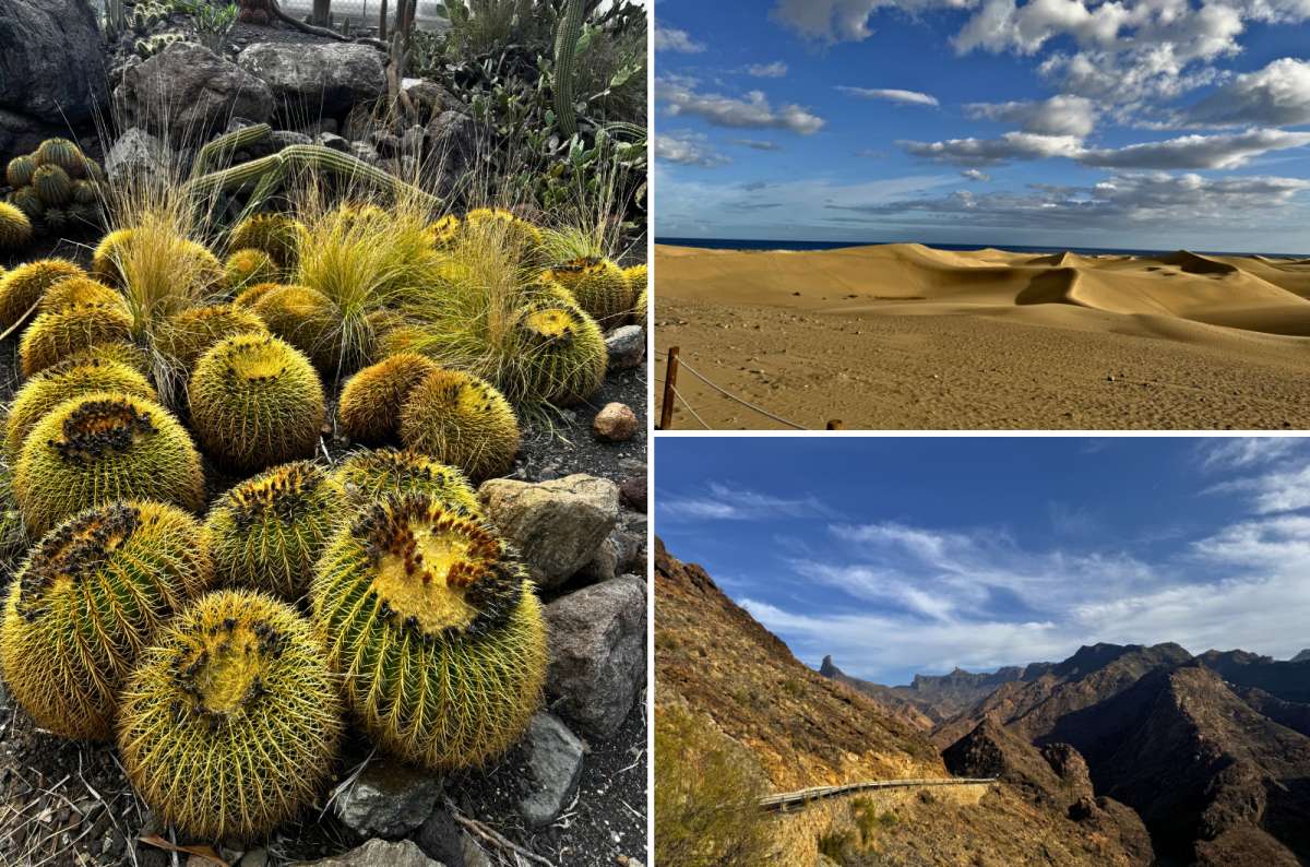 Collage of diverse nature in Gran Canaria featuring Maspalomas Dunes, volcanic mountains, and cacti in Gran Canaria, Spain, photo by Next Level of Travel