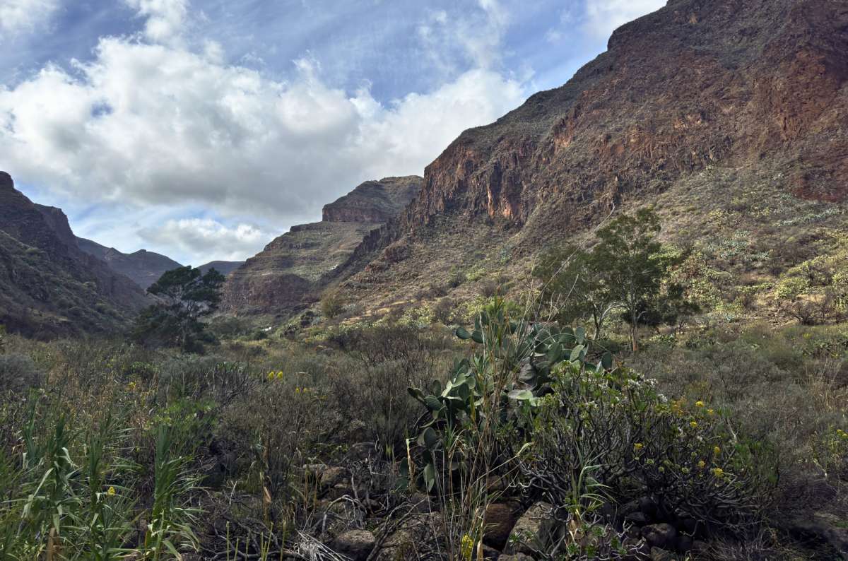 Mountain landscape in Guayadeque Gorge, Gran Canaria, Spain, photo by Next Level of Travel