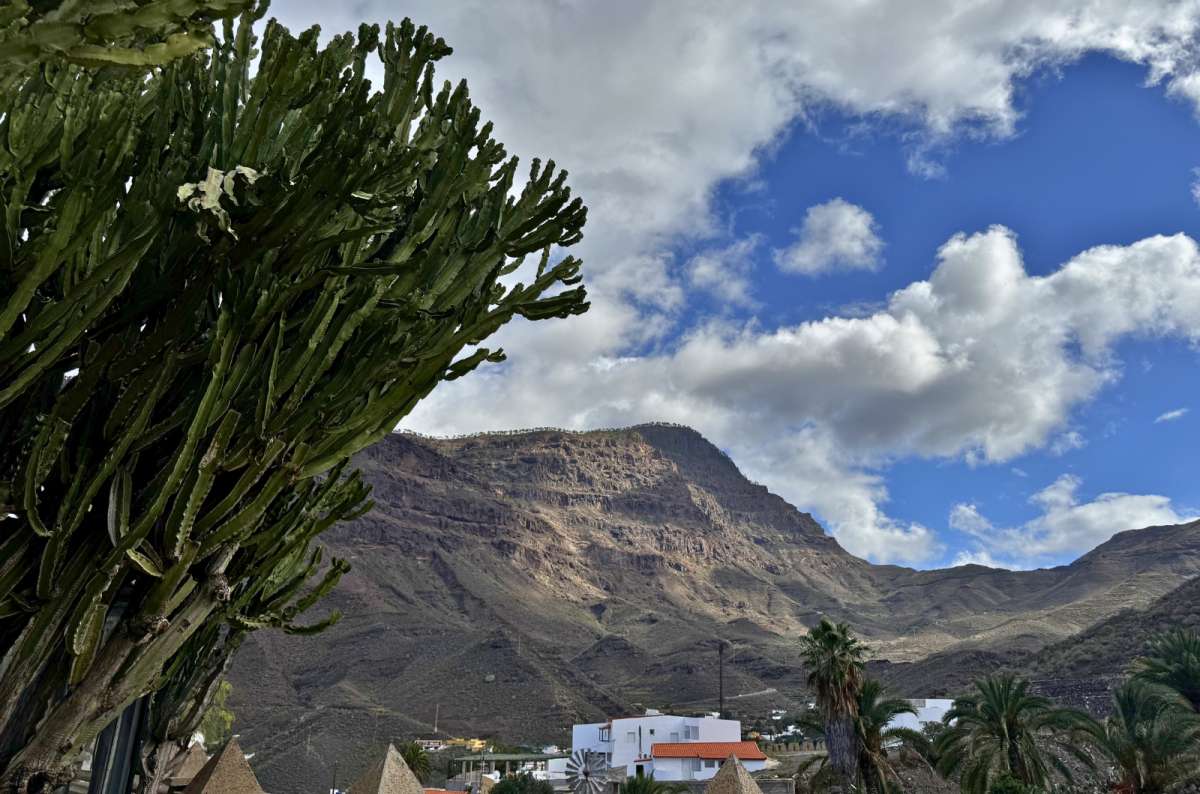 Mountain landscape with cactus and palm trees in La Aldea de San Nicolás, Spain, nature in Gran Canaria, photo by Next Level of Travel