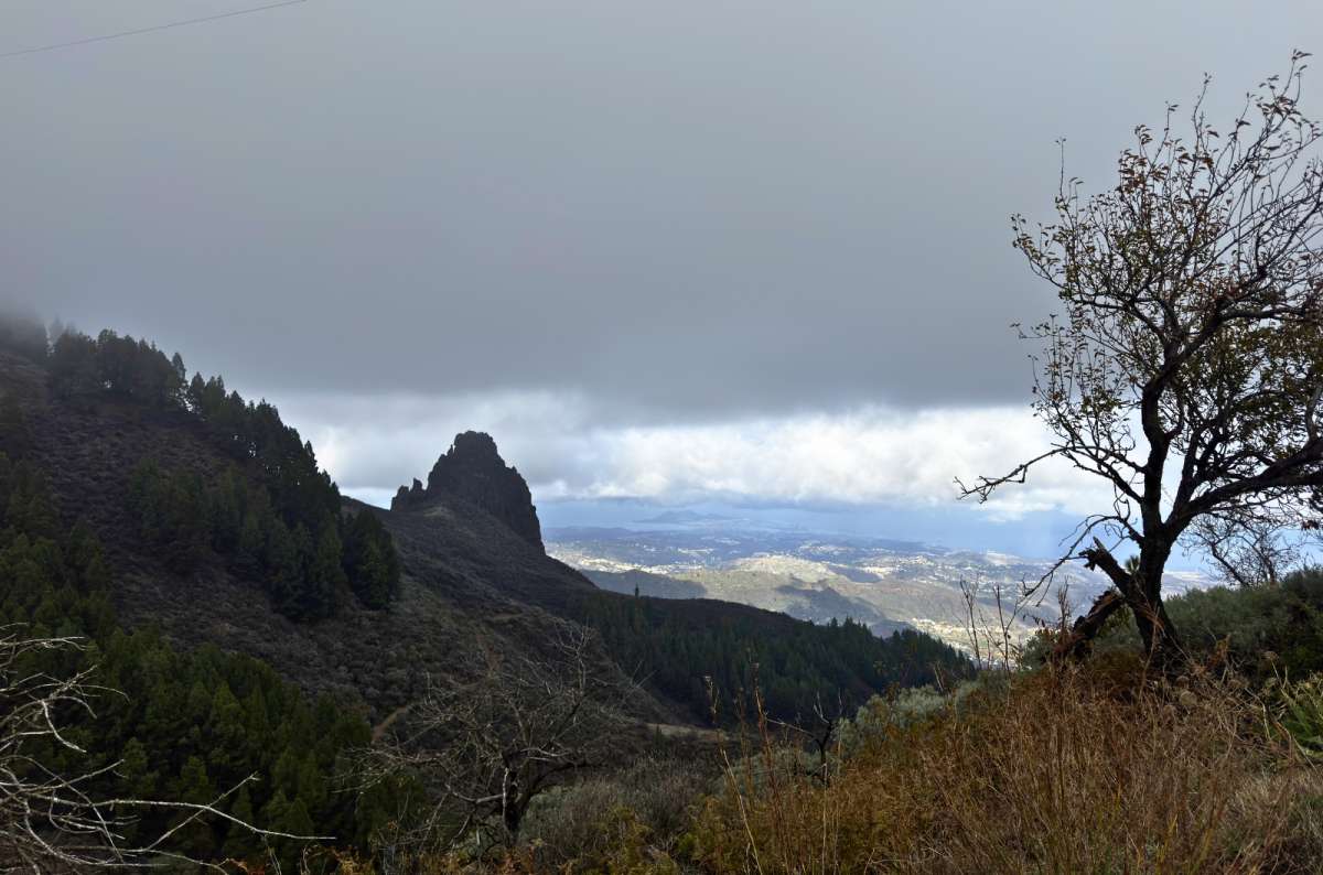 View from Mirador de los Marteles overlooking pine forests and mountain landscapes, Gran Canaria, Spain, photo by Next Level of Travel