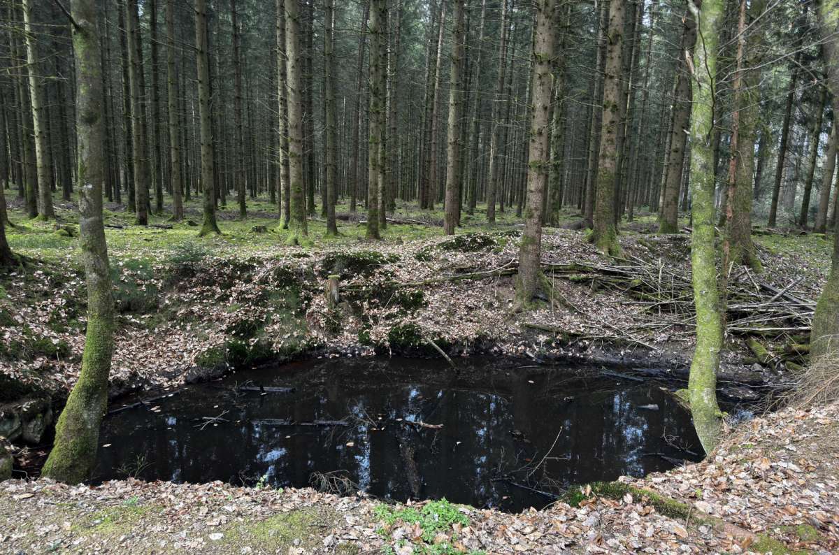 a photo of a soldier sculpture reflected in a forest pool and a panel of recovered shell fragments on the Schumannseck trail, Schumannseck, Luxembourg, photo by Next Level of Travel