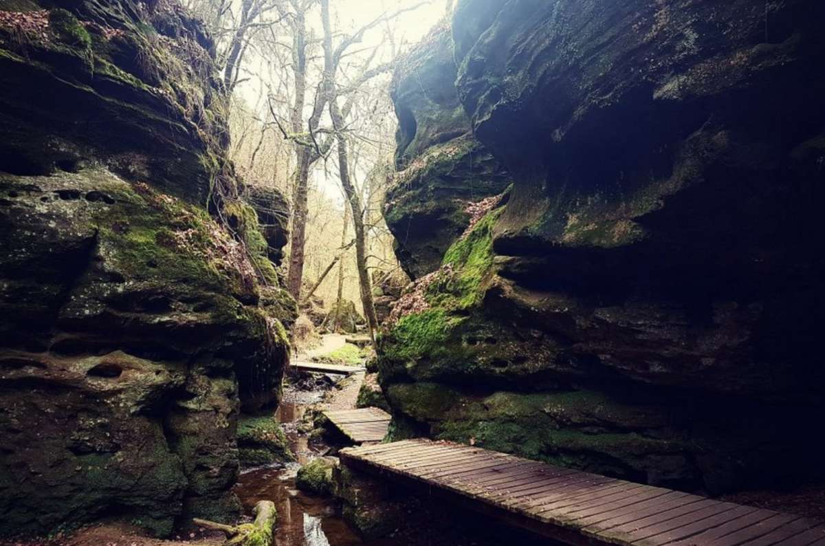 a photo of a wooden boardwalk crossing a stream through a narrow mossy rock gorge, Mullerthal, Luxembourg