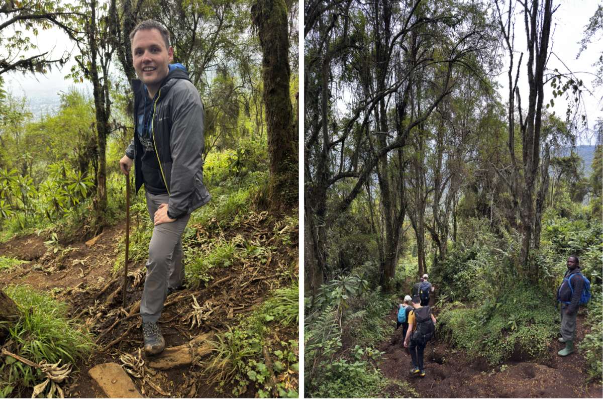 a diptych photo of a tourist climbing a steep muddy forest trail on Mount Bisoke, two frames side by side, Volcanoes National Park, Rwanda, photo by Next Level of Travel