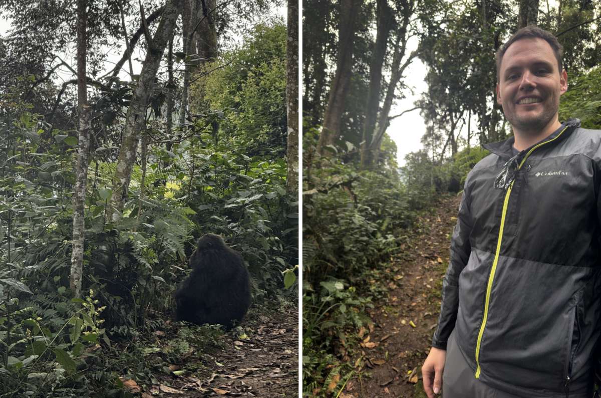 a diptych photo of a tourist on a forest trail in Nyungwe, two frames side by side, Nyungwe National Park, Rwanda, photo by Next Level of Travel 