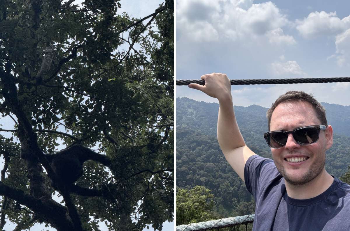 a diptych photo of the dense Nyungwe forest canopy on the left and a tourist on the canopy walkway on the right, Nyungwe National Park, Rwanda, photo by Next Level of Travel