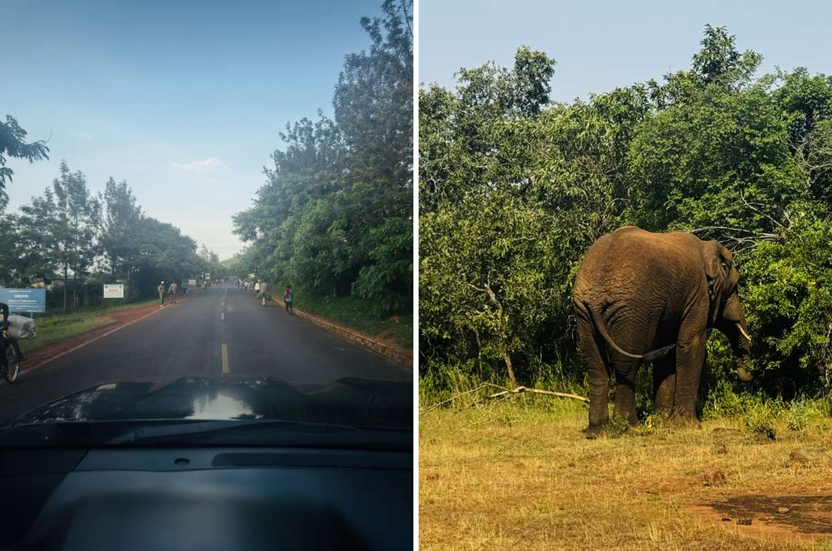 a diptych photo of the view over the dashboard on a wet park road on the left and a winding mountain road on the right, Rwanda, photo by Next Level of Travel 