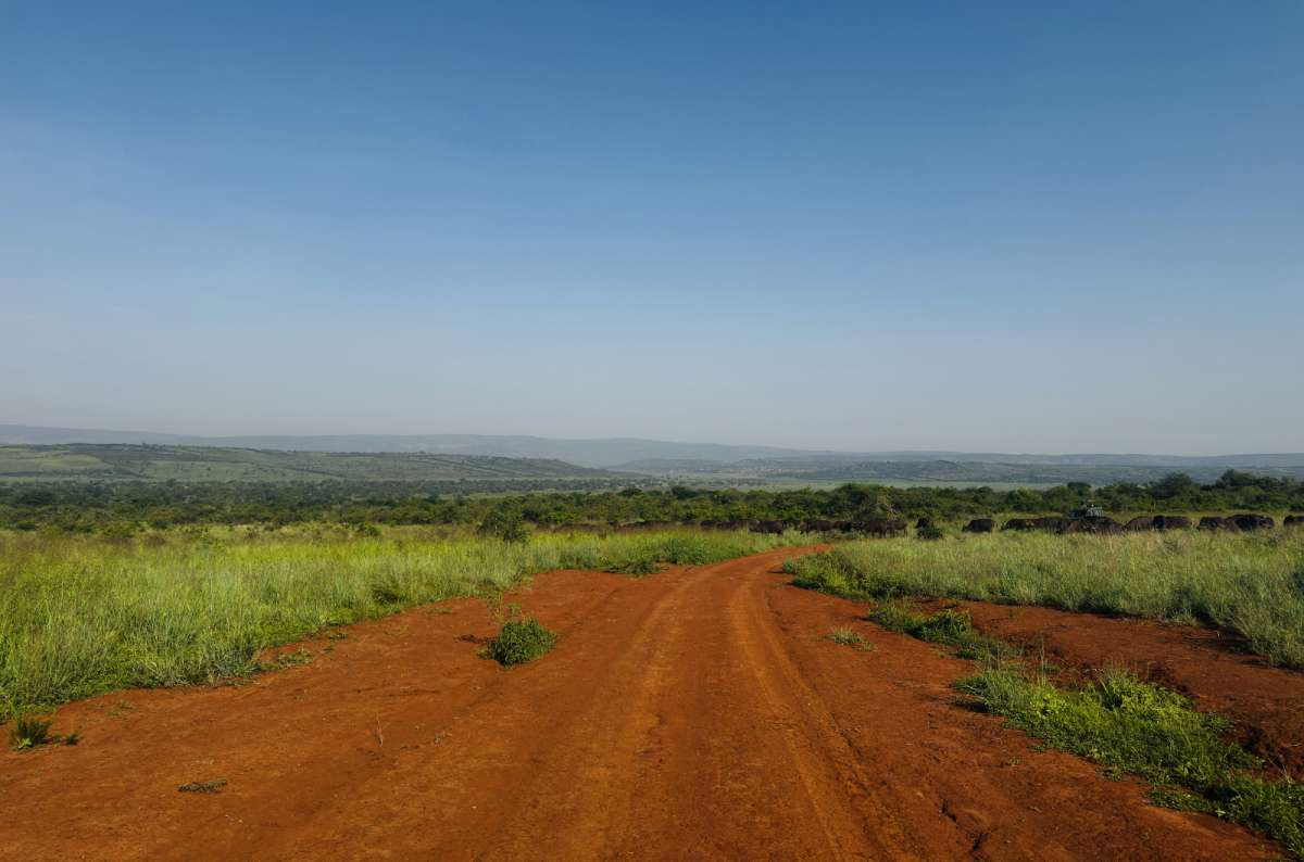 a photo of a red dirt road cutting straight through green savanna, Akagera National Park, Rwanda, photo by Next Level of Travel