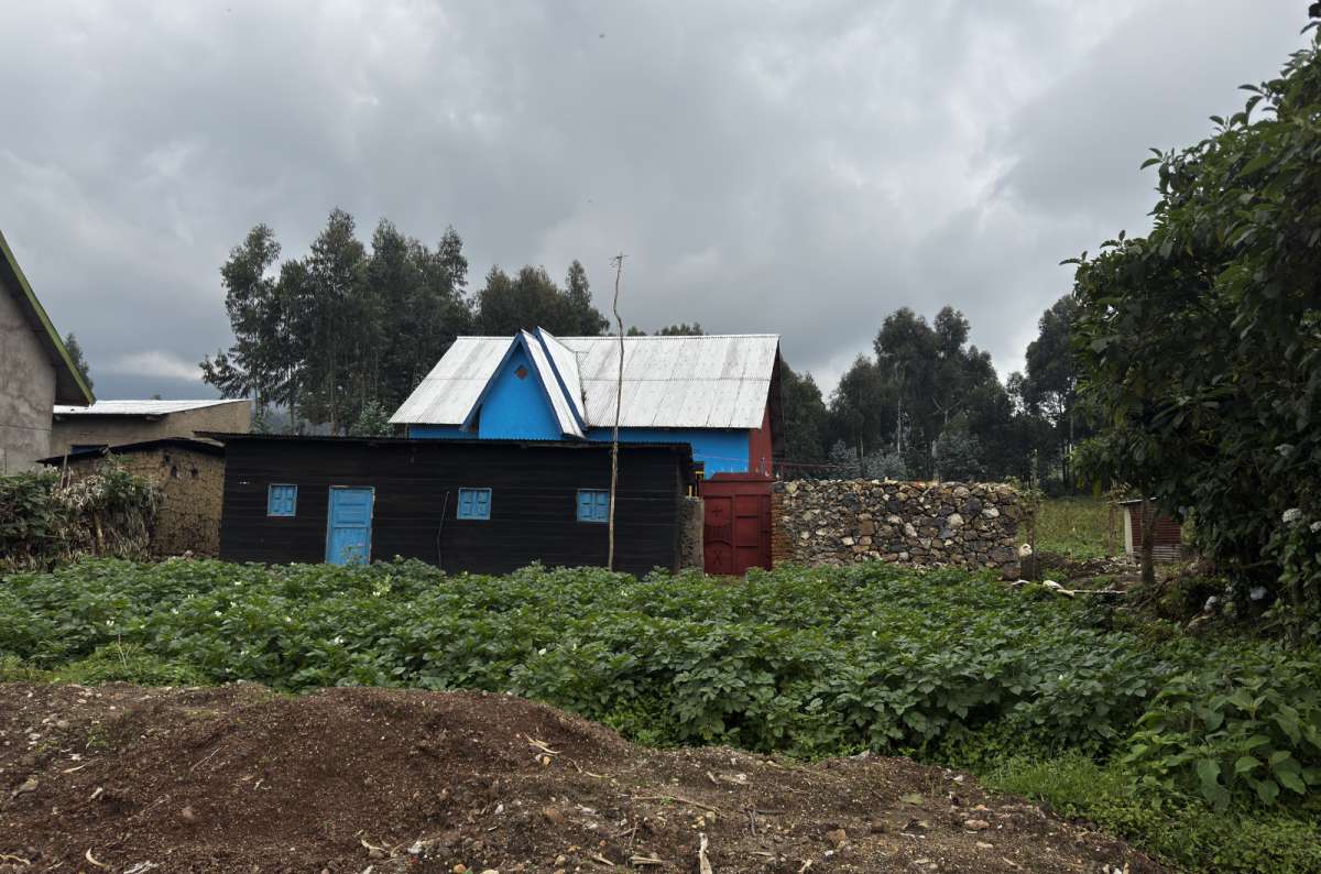 a photo of brightly painted rural houses beside cultivated fields, rural Rwanda, photo by Next Level of Travel