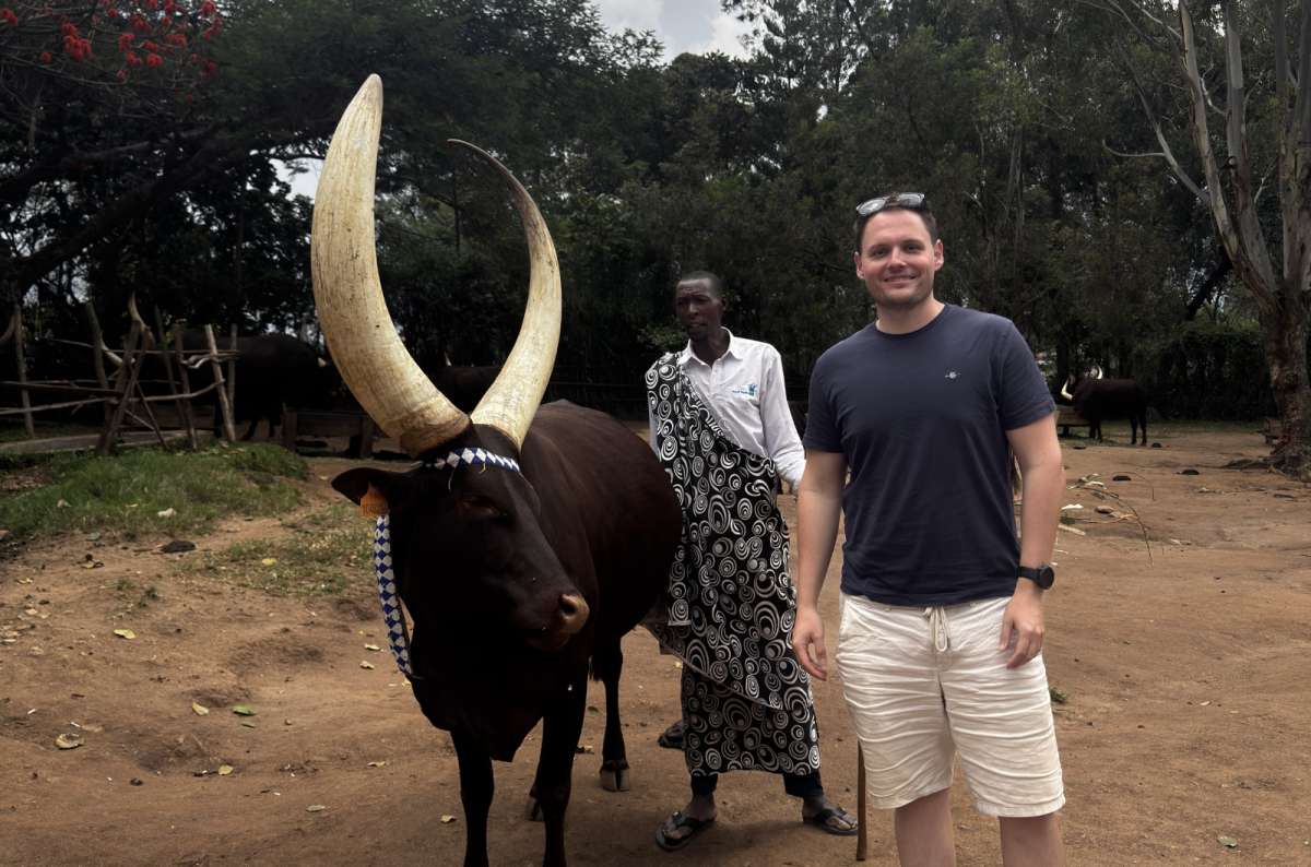 photo of a tourist beside a long-horned Inyambo royal cow, Nyanza, Rwanda, photo by Next Level of Travel 