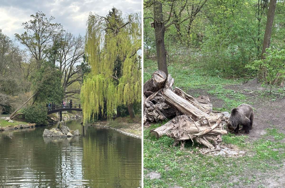 a collage from the Japanese Gardens showing the beautiful nature of the park and a photo from the Wroclaw zoo, depicting a bear eating grass, Poland, photo by Next Level of Travel