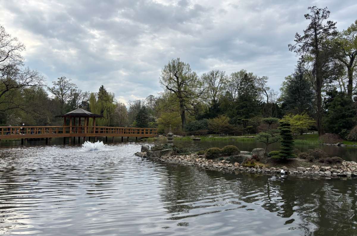 a photo of the Japanese Gardens with a lake and green islands in the main part of the shot, Poland, photo by Next Level of Travel