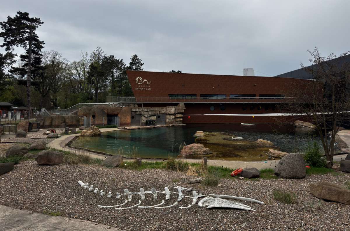 a photo showing one of the outside areas of the Wriclaw zoo woth a dinosaur skeleton model in the foreground, Poland, photo by Next Level of Travel