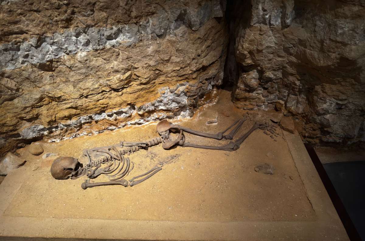 a photo of an ancient human skeleton on display at the National Museum of Archaeology, History and Art, Luxembourg, a photo by Next Level of Travel