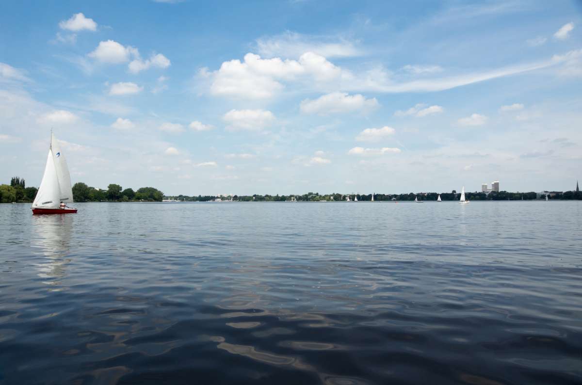 a photo from the Alster lakes showing floating boats olong the edges of the frame, Hamburg, Germany