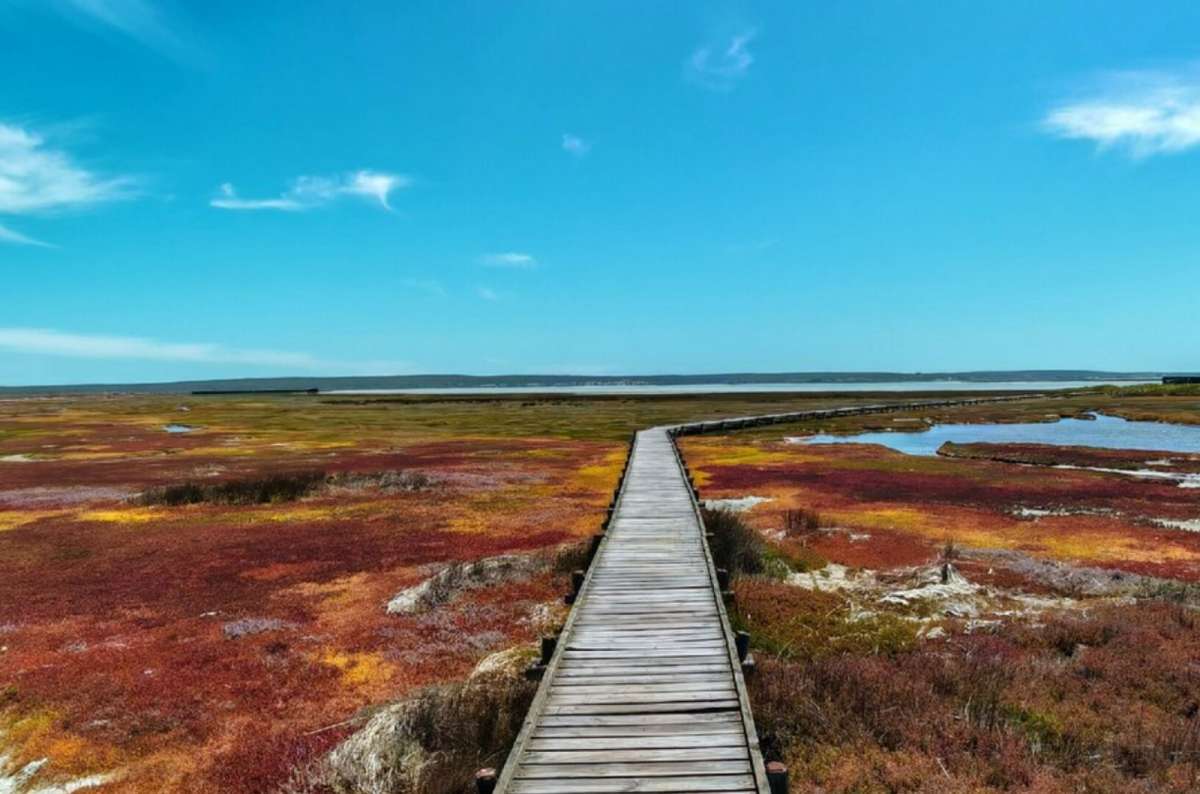 Boardwalk through the salt marshes in West Coast National Park near Langebaan, South Africa