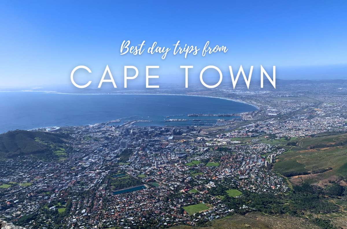 Best Day Trips from Cape Town: My No-Holds-Barred Ranking