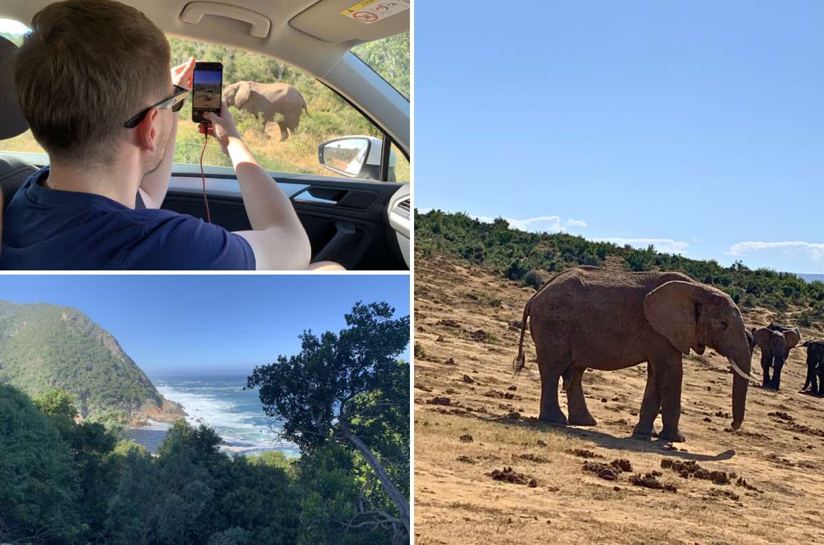 Elephants along the Garden Route and coastal scenery near Tsitsikamma National Park, South Africa, photo by Next Level of Travel.