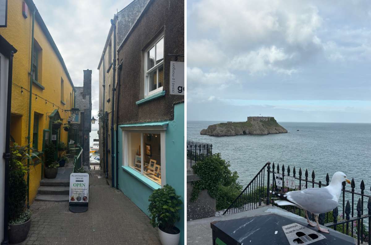 a collage of a colourful Tenby lane on the left and St Catherine's Island with its fort seen past a seagull on the right, Tenby, Wales, photo by Next Level of Travel