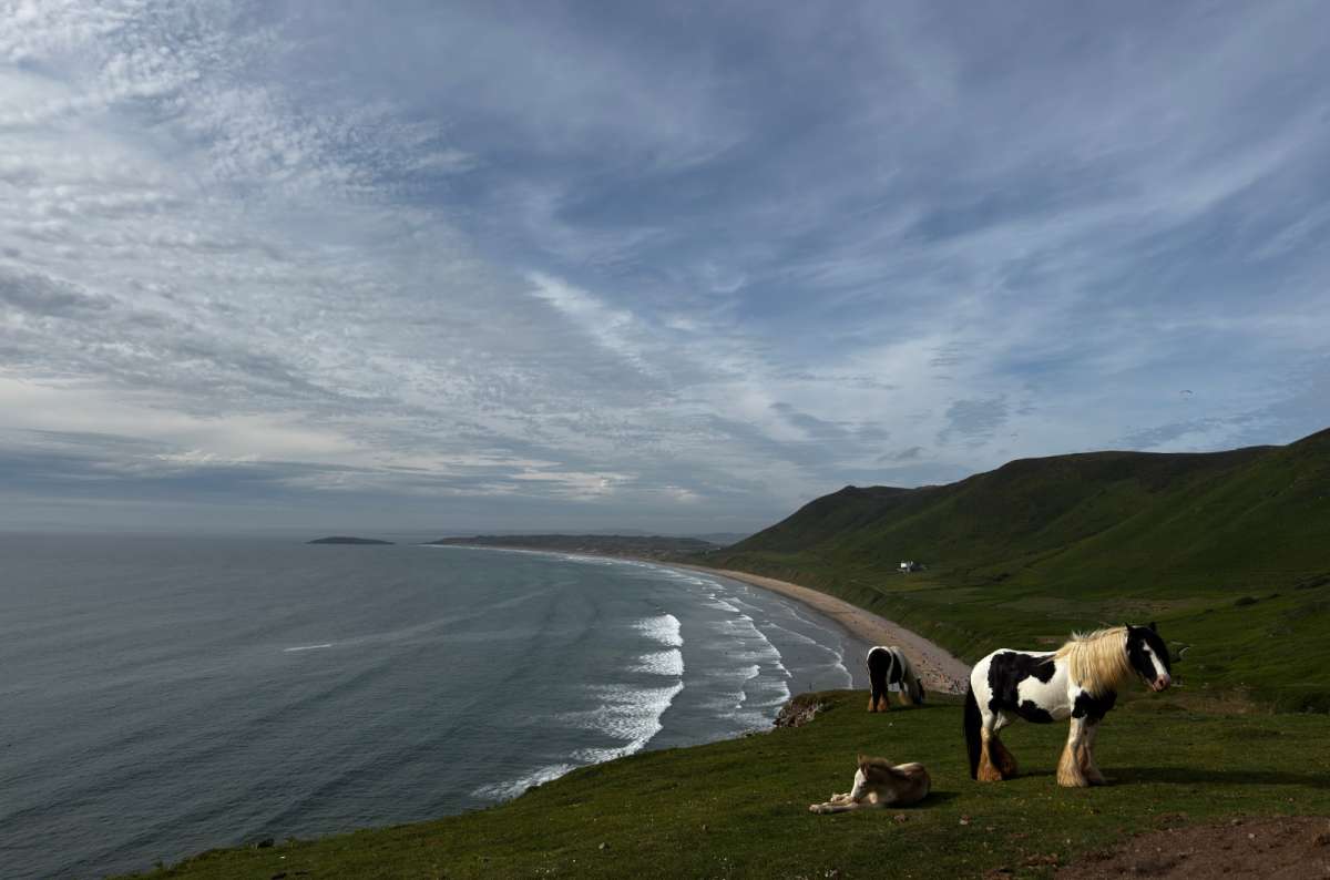 a photo of mountain horses relaxing in Rhossili Bay, Wales, photo by Next Level of Travel