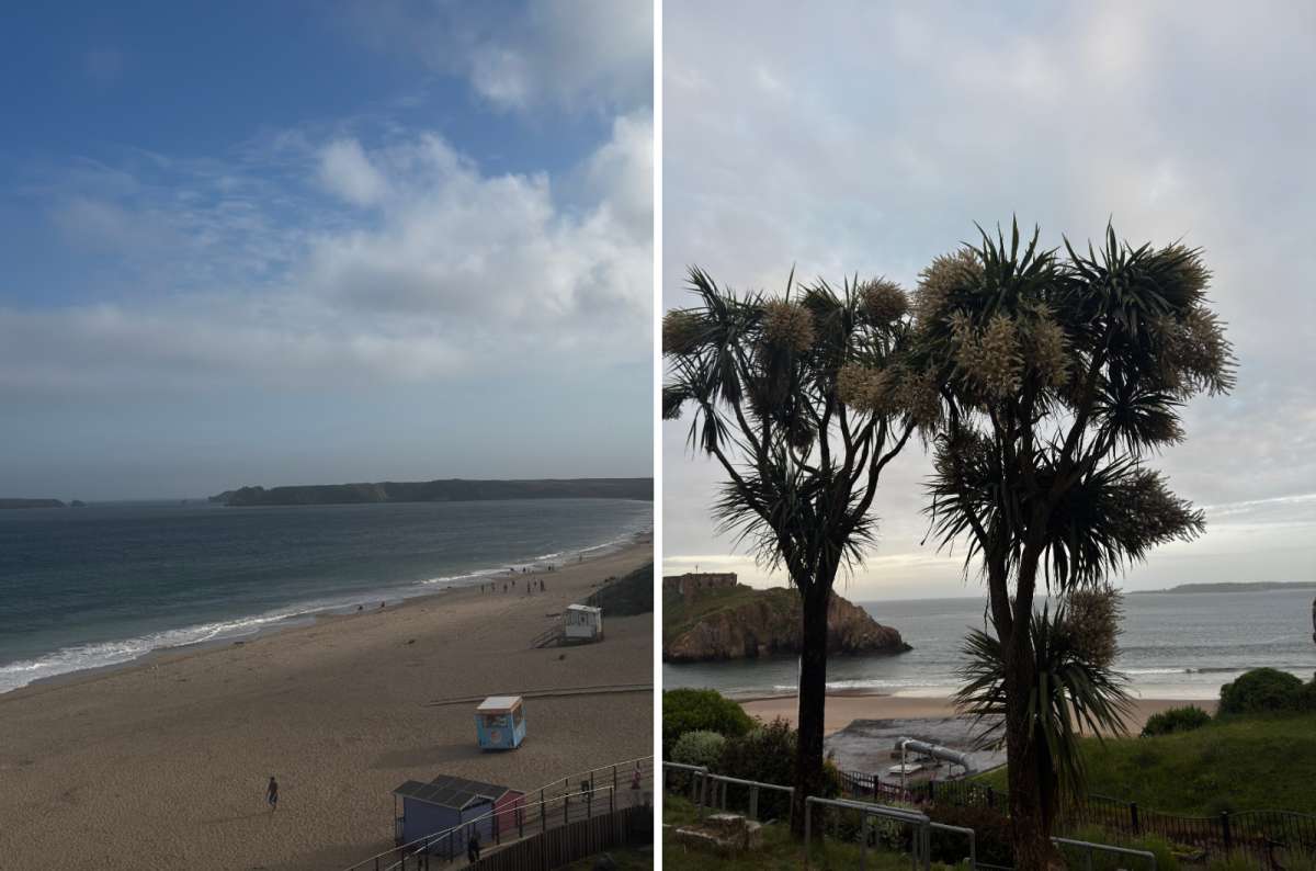 a collage of Tenby North Beach on the left and cordyline palms above Castle Beach at dusk on the right, Tenby, Wales, photo by Next Level of Travel
