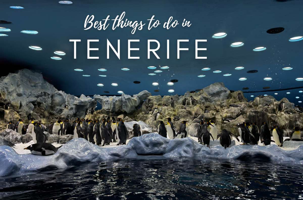 15 Best Things to Do in Tenerife from My Own Experience