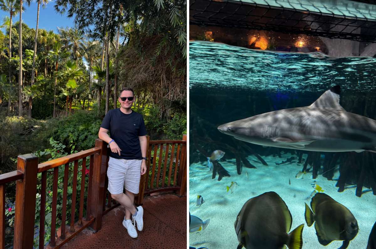 A collage showing the Loro Parque, Tenerife, a photo by Next Level of Travel