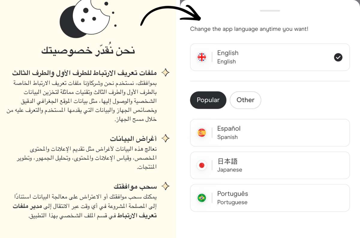 photo of the Holafly app's Arabic welcome screen on the left and the language selection screen with English selected on the right, photo by Next Level of Travel