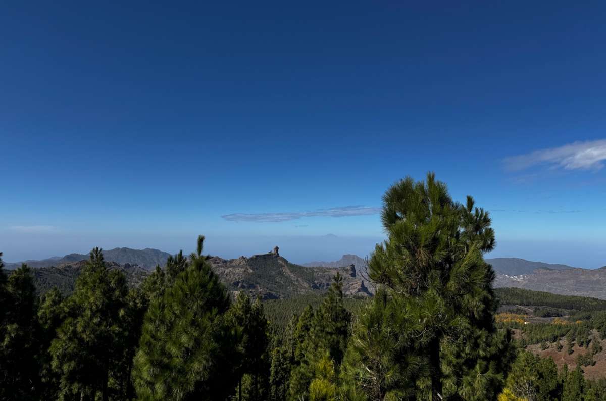 a photo of pine trees framing the distant Roque Nublo rock with Tenerife's Teide on the horizon, seen from Pico de las Nieves, Canary Islands, photo by Next Level of Travel