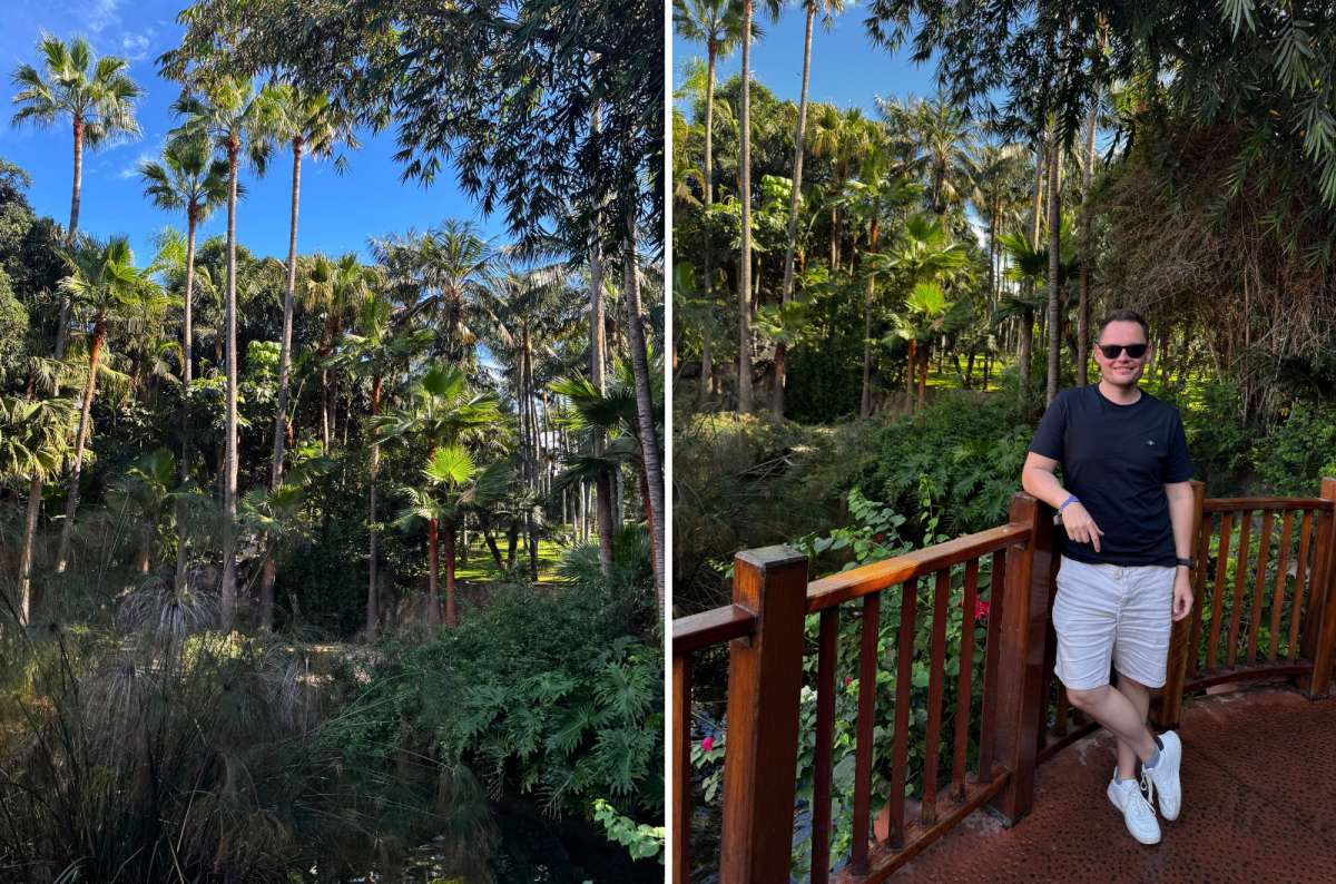 photo of a tropical palm garden on the left and a tourist by a wooden railing overlooking it on the right, Loro Parque, Tenerife, photo by Next Level of Travel