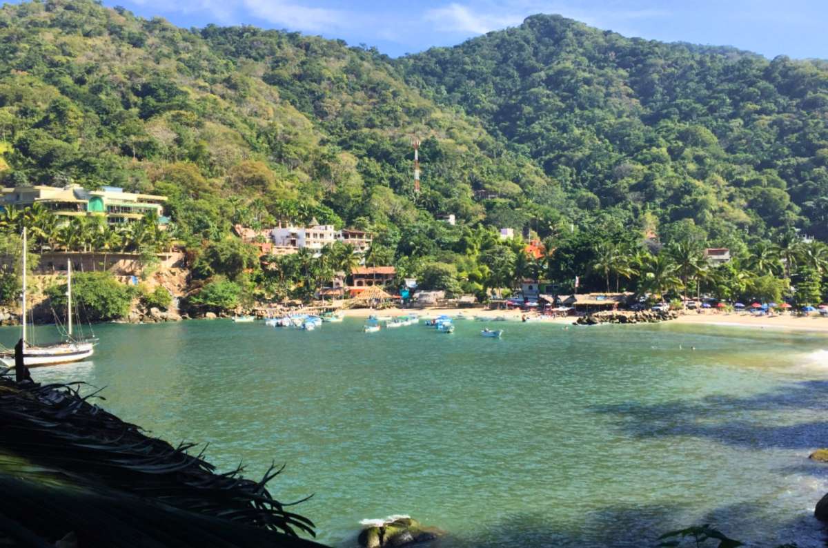 a photo of fishing boats in the green bay of Boca de Tomatlán, Jalisco, Mexico