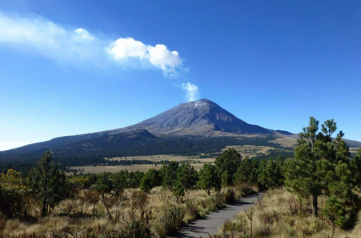 a photo of Popocatépetl releasing smoke above a pine forest, Paso de Cortés, Mexico
