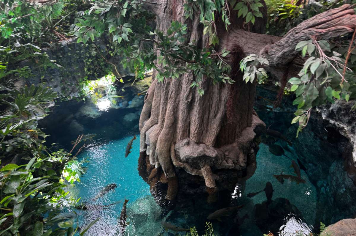 a photo from Poema del Mar, showing the natural decorations on display, Canary Islands, photo by Next Level of Travel