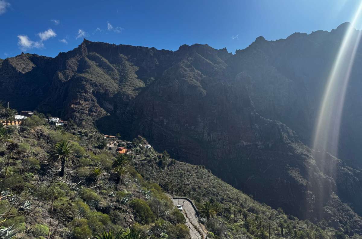 a photo of the panorama route TF42 in Tenerife, showing the forested mountains rising in the background, Canary Islands, photo by Next Level of Travel