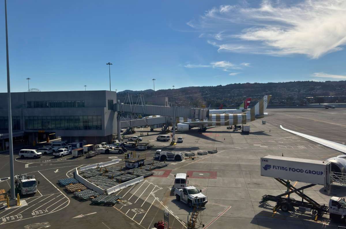 a photo of a Condor Airbus A330neo in striped livery parked at a jet bridge at San Francisco International Airport, USA, photo by Next Level of Travel