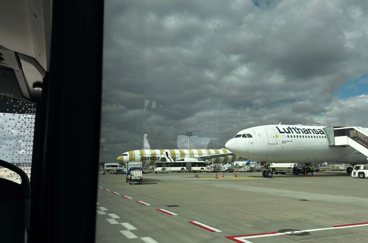 Condor Airbus A330neo at Frankfurt Airport seen from an apron bus, with a Lufthansa aircraft in the foreground, photo by Next Level of Travel