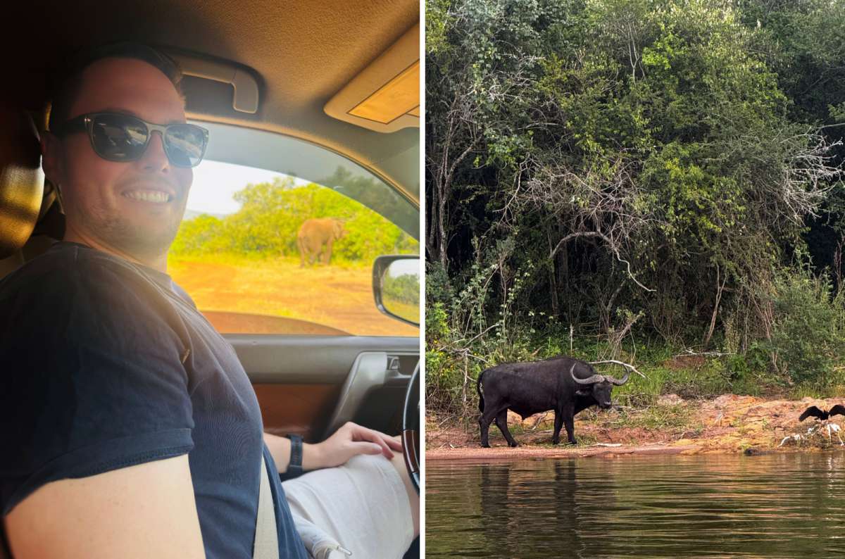a collage of a safari selfie and a buffalo in Akagera National Park, Kayonza, Rwanda, a photo by Next Level of Travel