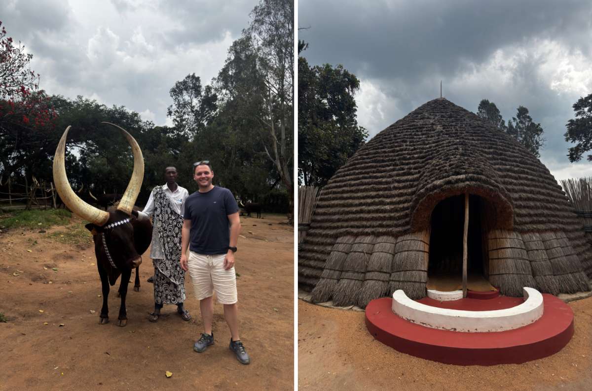 a collage of royal cattle and a traditional palace at King's Palace Museum, Nyanza, Rwanda, a photo by Next Level of Travel