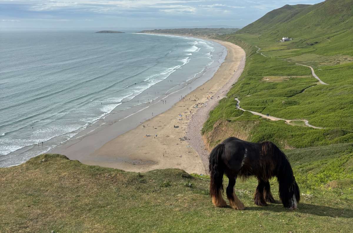 a photo of a black pony grazing on the clifftop above the long beach of Rhossili Bay, Wales, photo by Next Level of Travel